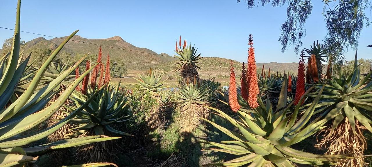 Koedoeskloof Guesthouse Ladismith Exterior photo